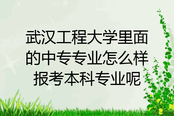 武汉工程大学里面的中专专业怎么样报考本科专业呢