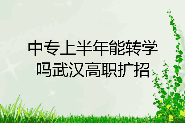 中专上半年能转学吗武汉高职扩招