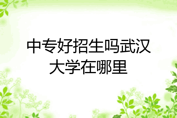 中专好招生吗武汉大学在哪里
