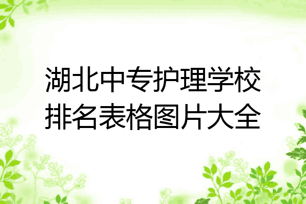 湖北中专护理学校排名表格图片大全