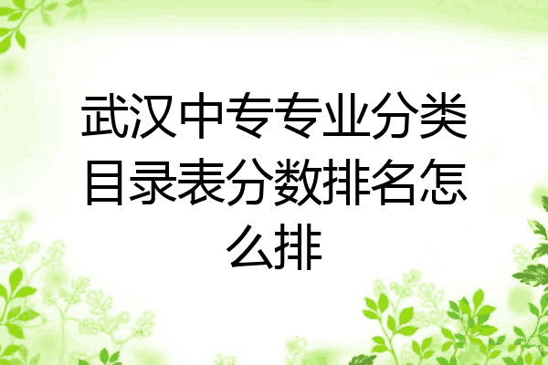 武汉中专专业分类目录表分数排名怎么排