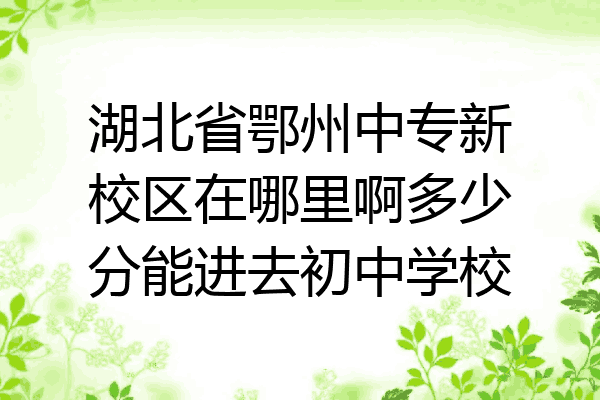 湖北省鄂州中专新校区在哪里啊多少分能进去初中学校