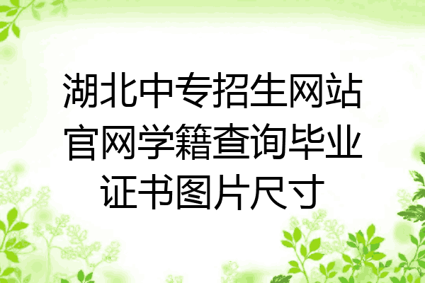 湖北中专招生网站官网学籍查询毕业证书图片尺寸