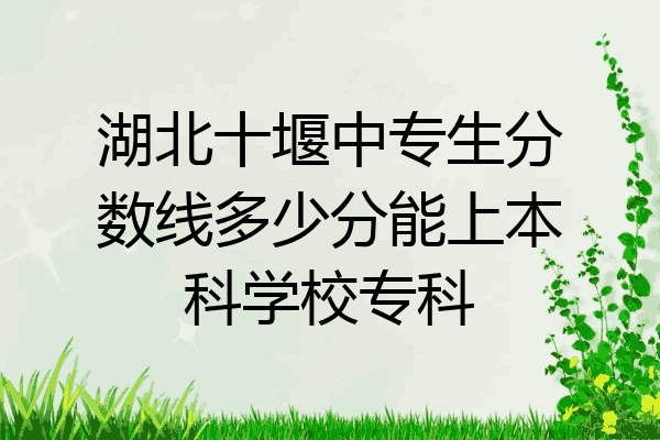 湖北十堰中专生分数线多少分能上本科学校专科