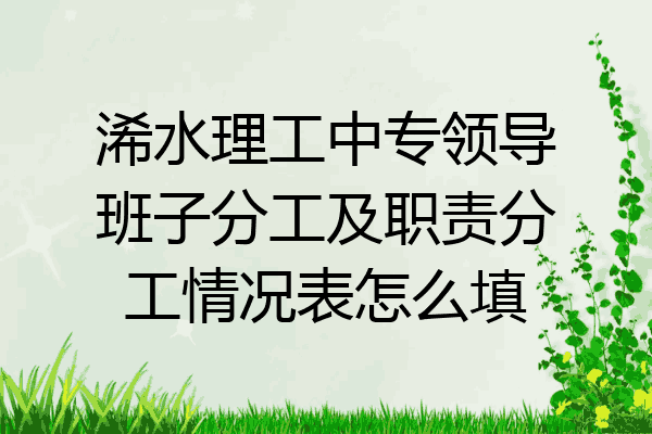 浠水理工中专领导班子分工及职责分工情况表怎么填