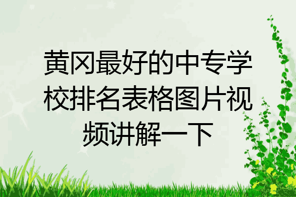 黄冈最好的中专学校排名表格图片视频讲解一下
