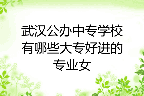 武汉公办中专学校有哪些大专好进的专业女