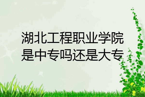 湖北工程职业学院是中专吗还是大专