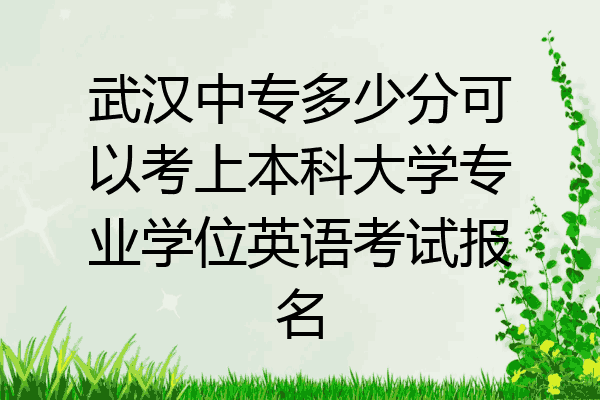 武汉中专多少分可以考上本科大学专业学位英语考试报名