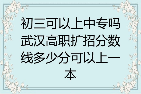 初三可以上中专吗武汉高职扩招分数线多少分可以上一本
