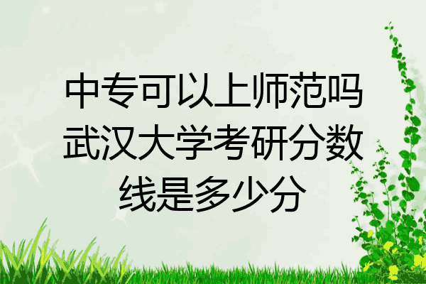 中专可以上师范吗武汉大学考研分数线是多少分