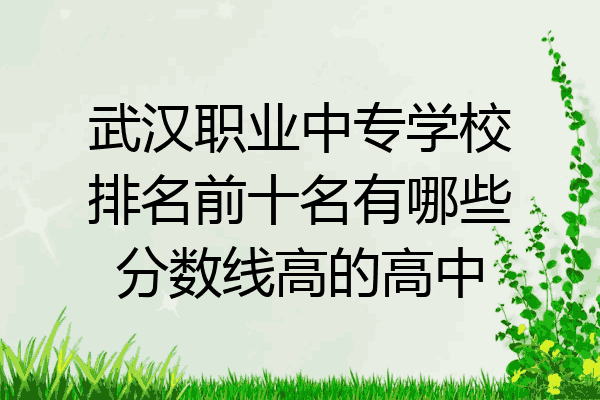武汉职业中专学校排名前十名有哪些分数线高的高中