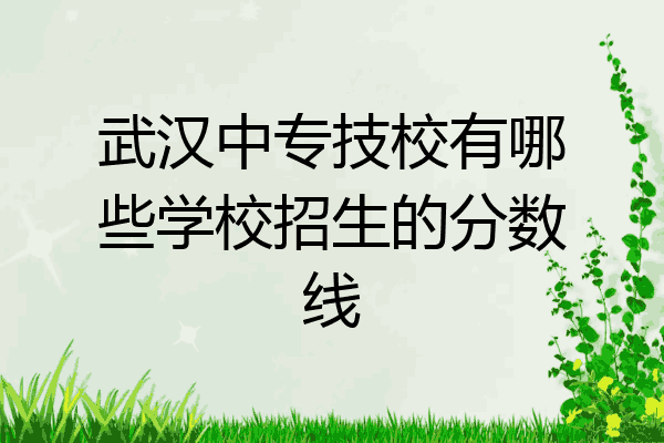 武汉中专技校有哪些学校招生的分数线