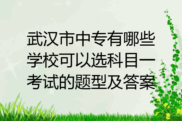武汉市中专有哪些学校可以选科目一考试的题型及答案