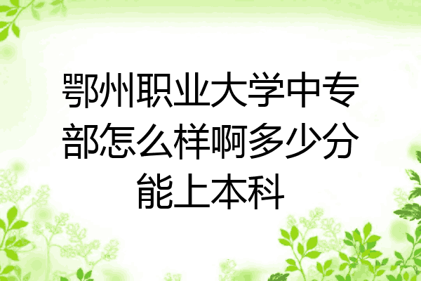 鄂州职业大学中专部怎么样啊多少分能上本科