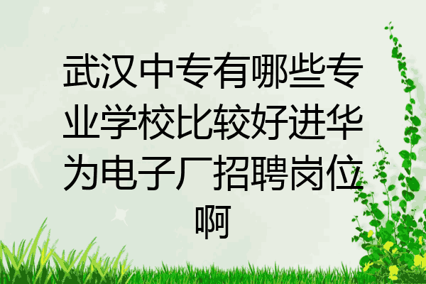 武汉中专有哪些专业学校比较好进华为电子厂招聘岗位啊