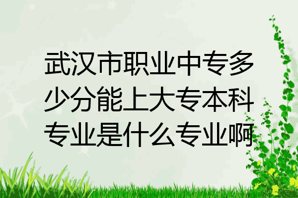武汉市职业中专多少分能上大专本科专业是什么专业啊