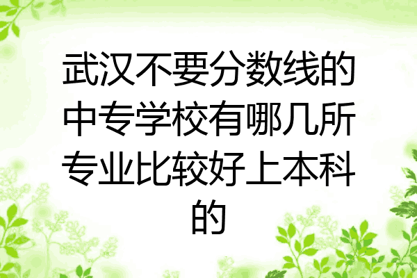武汉不要分数线的中专学校有哪几所专业比较好上本科的