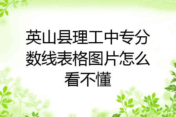 英山县理工中专分数线表格图片怎么看不懂