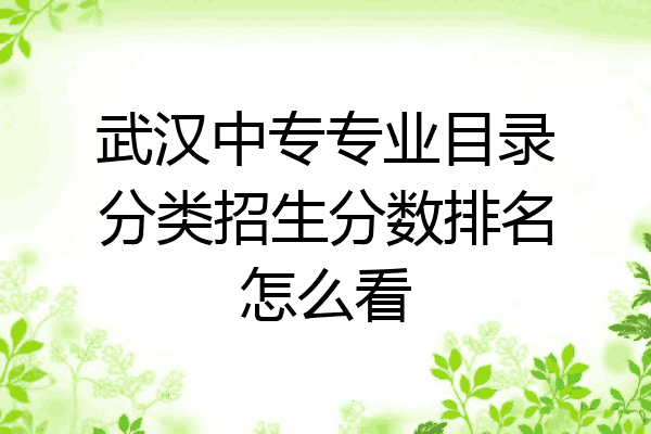武汉中专专业目录分类招生分数排名怎么看