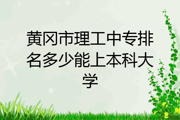 黄冈市理工中专排名多少能上本科大学