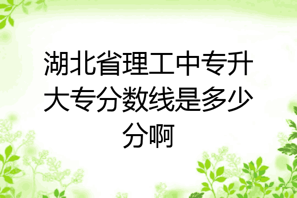 湖北省理工中专升大专分数线是多少分啊