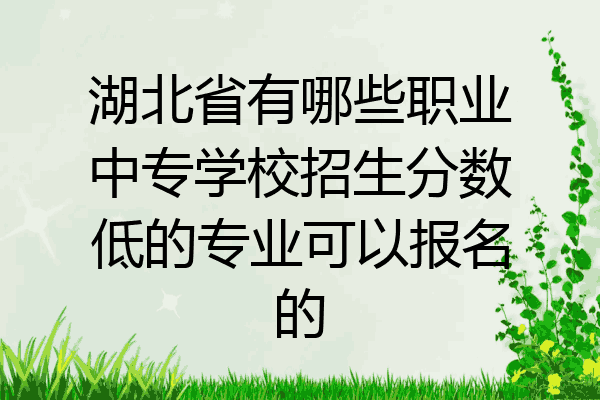 湖北省有哪些职业中专学校招生分数低的专业可以报名的