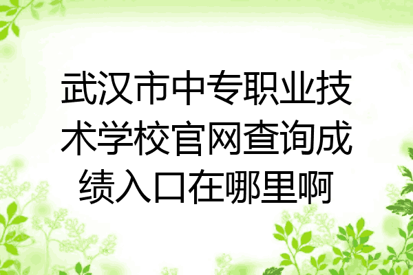 武汉市中专职业技术学校官网查询成绩入口在哪里啊