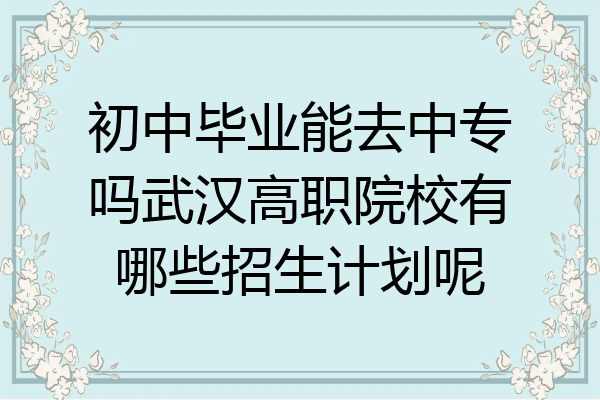 初中毕业能去中专吗武汉高职院校有哪些招生计划呢