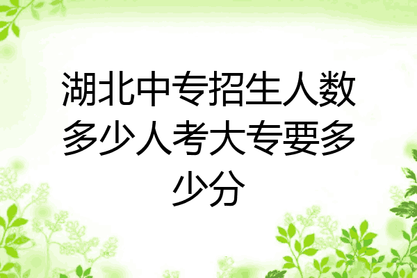 湖北中专招生人数多少人考大专要多少分