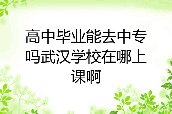 高中毕业能去中专吗武汉学校在哪上课啊