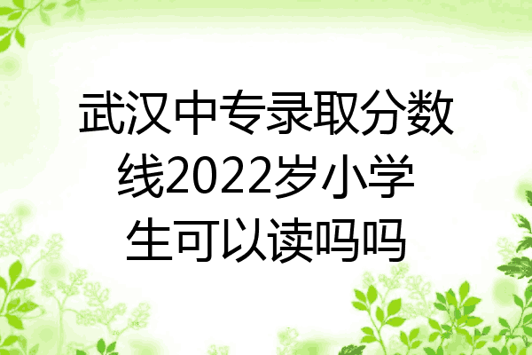 武汉中专录取分数线2022岁小学生可以读吗吗