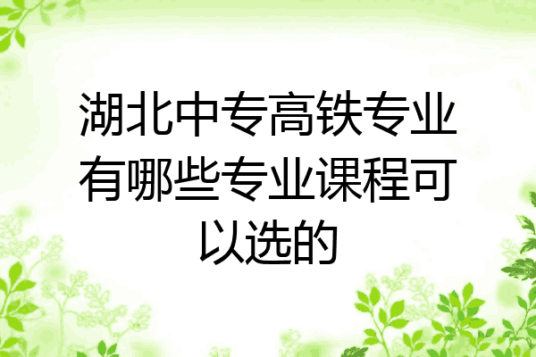 湖北中专高铁专业有哪些专业课程可以选的