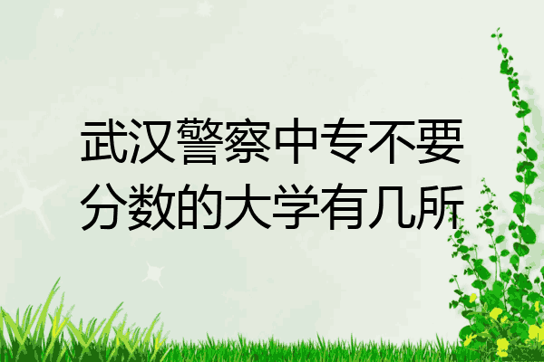 武汉警察中专不要分数的大学有几所