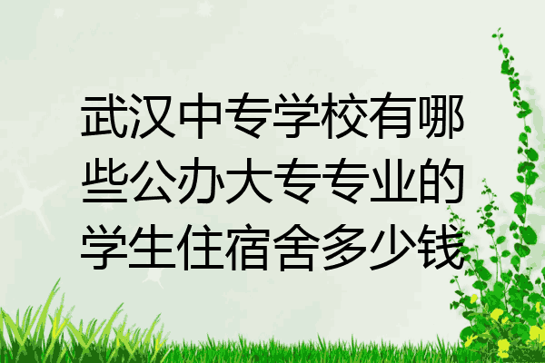武汉中专学校有哪些公办大专专业的学生住宿舍多少钱