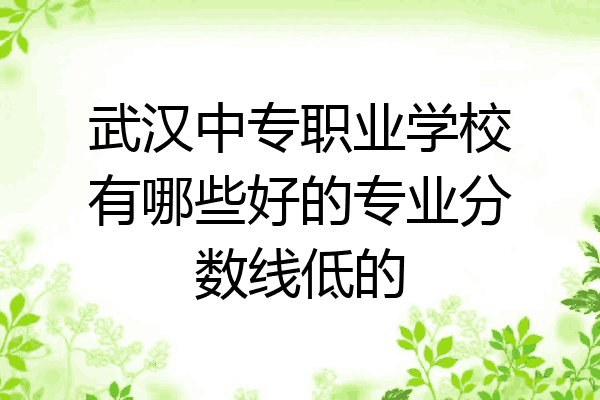 武汉中专职业学校有哪些好的专业分数线低的