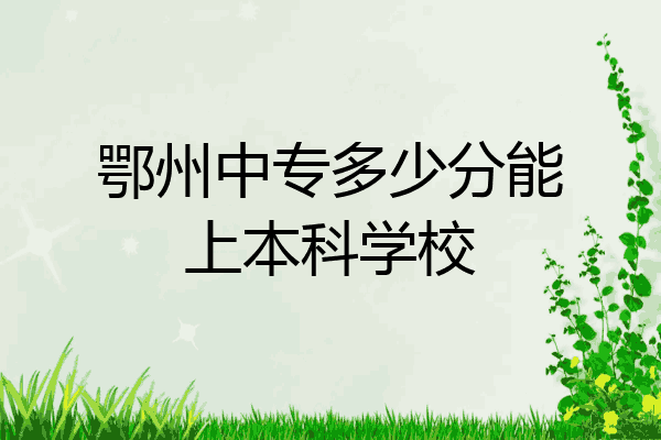 鄂州中专多少分能上本科学校
