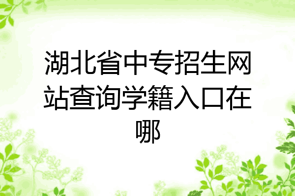 湖北省中专招生网站查询学籍入口在哪