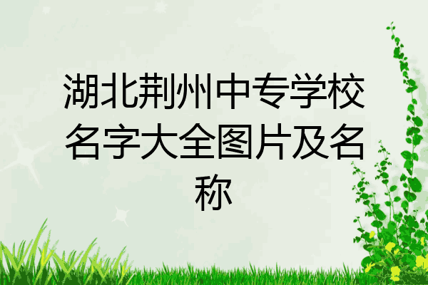 湖北荆州中专学校名字大全图片及名称