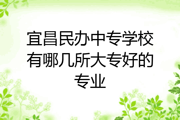 宜昌民办中专学校有哪几所大专好的专业