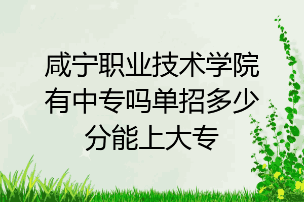 咸宁职业技术学院有中专吗单招多少分能上大专