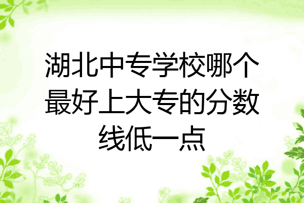 湖北中专学校哪个最好上大专的分数线低一点