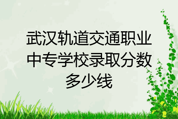 武汉轨道交通职业中专学校录取分数多少线