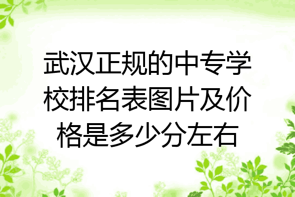 武汉正规的中专学校排名表图片及价格是多少分左右