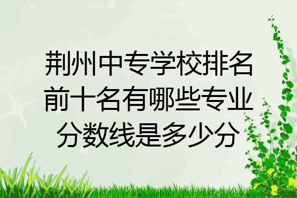 荆州中专学校排名前十名有哪些专业分数线是多少分