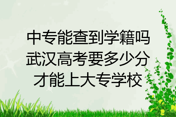 中专能查到学籍吗武汉高考要多少分才能上大专学校