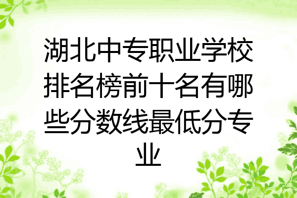 湖北中专职业学校排名榜前十名有哪些分数线最低分专业