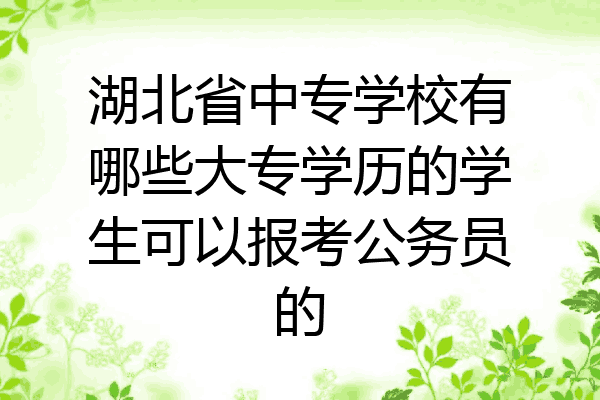 湖北省中专学校有哪些大专学历的学生可以报考公务员的