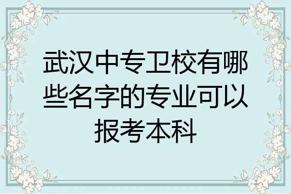 武汉中专卫校有哪些名字的专业可以报考本科