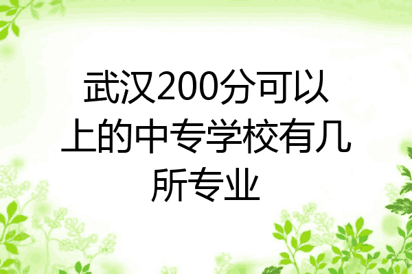 武汉200分可以上的中专学校有几所专业